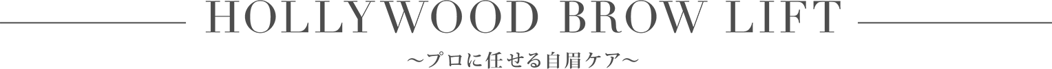 次世代アイブロウ